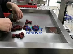 pionowa maszyna do pakowania żywności CP01