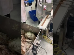 Linia produkcyjna daktyla z powłoką orzeszków ziemnych i kokosowych