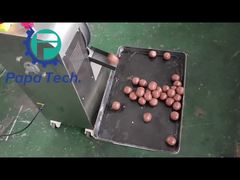 40mm miotacz kul energetycznych